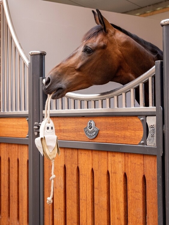 LeMieux Paardenspeelgoed Banana