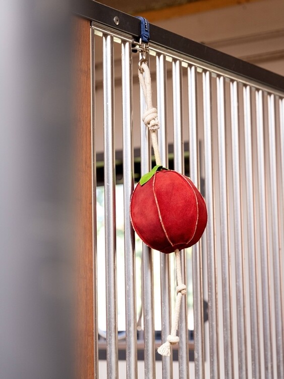 LeMieux Paardenspeelgoed Apple