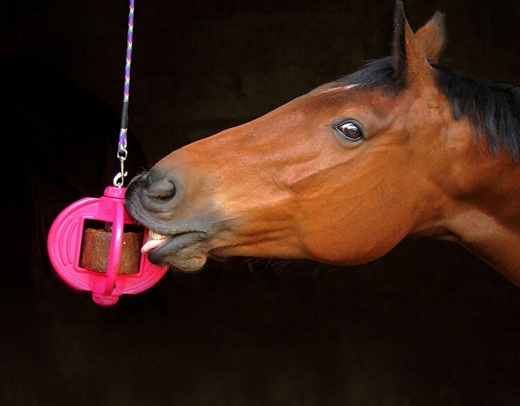Bizzy Ball paardenspeelgoed