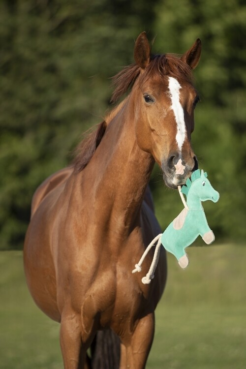 DKR Sports Paardenspeelgoed Shetty Jack
