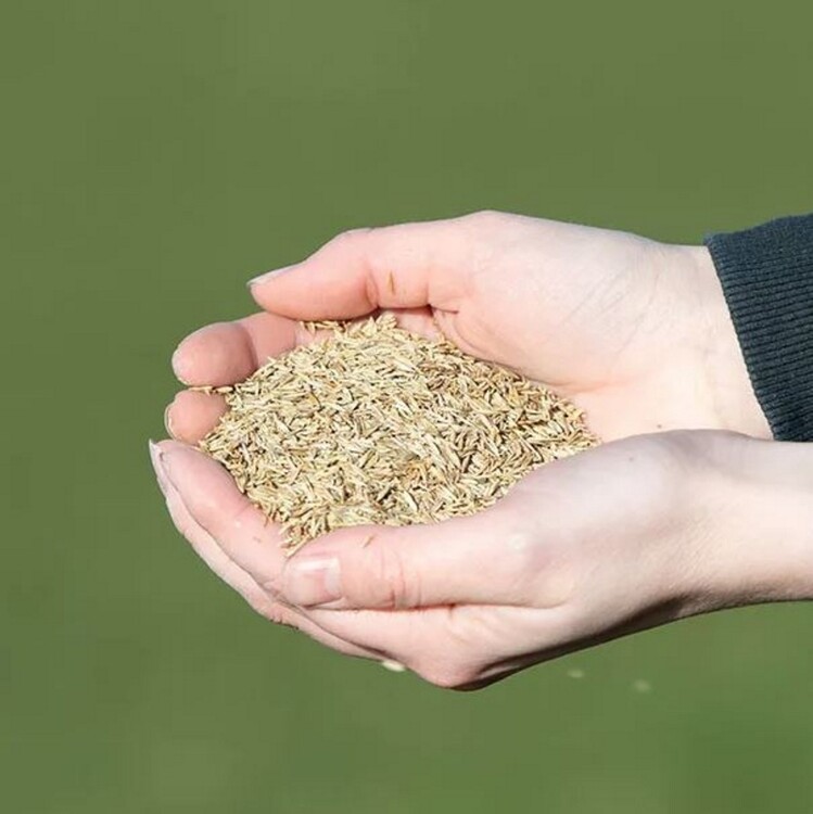 VITALstyle WeideGraszaad 15kg