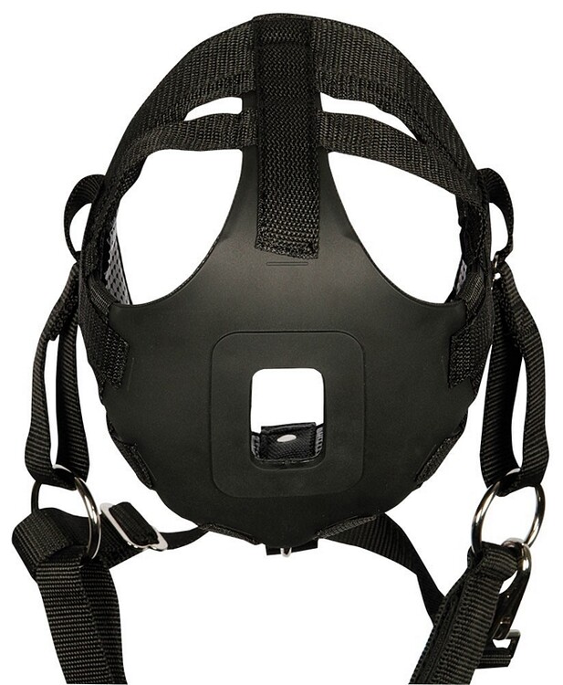 Harry's Horse Graasmasker met neusgaten