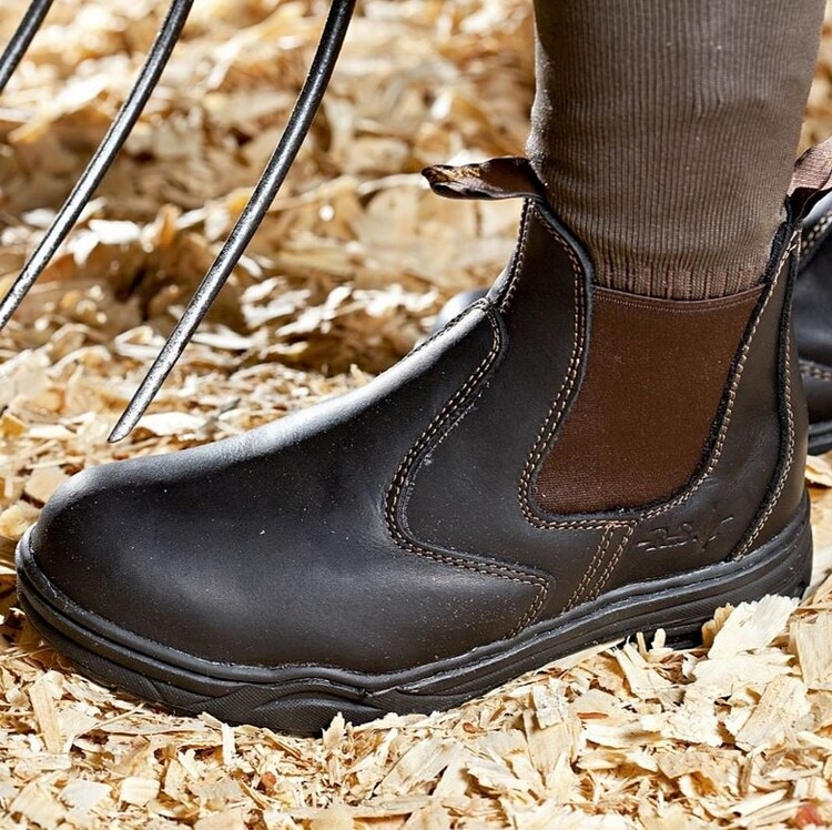 Mountain Horse Protective Jodhpur