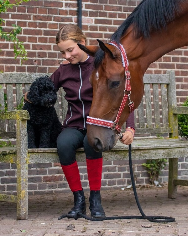 QHP Halster Kerst