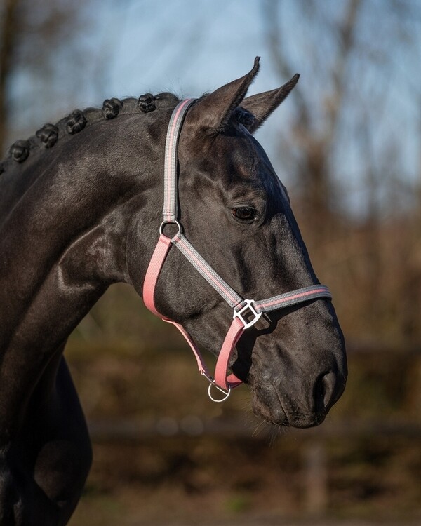 QHP Halster Flore