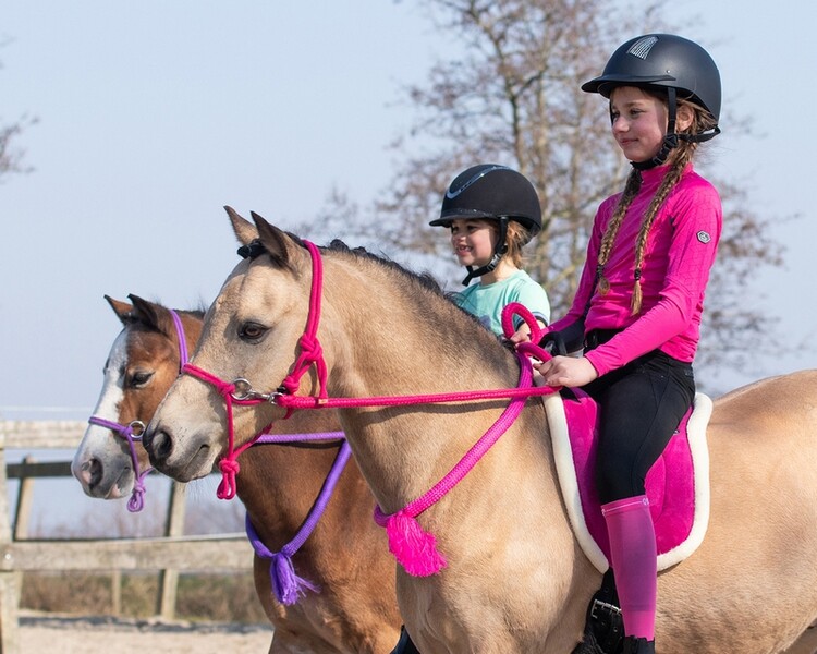 QHP Touwhalster met teugel