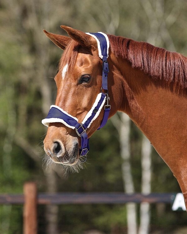QHP Halster Classy