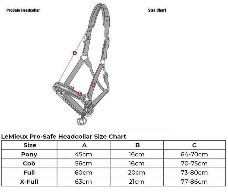 LeMieux ProSafe Controller Halster