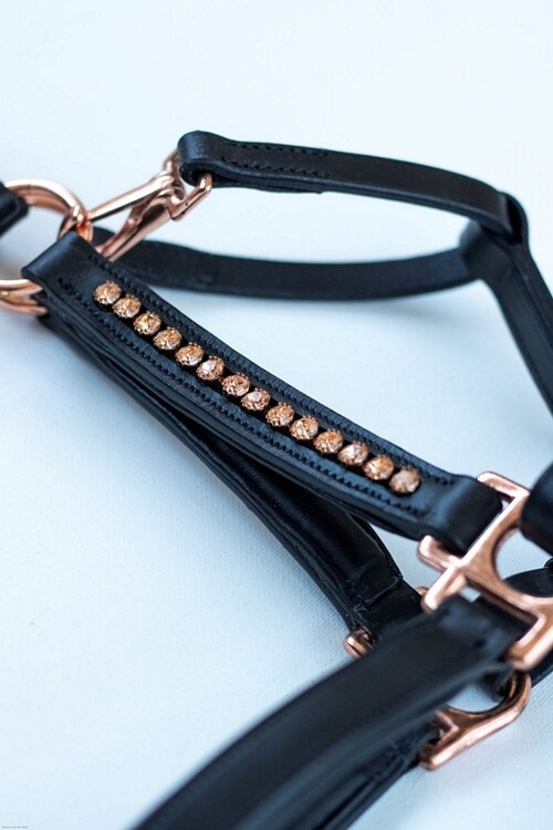 HB Showtime Veulenhalster Rosegold