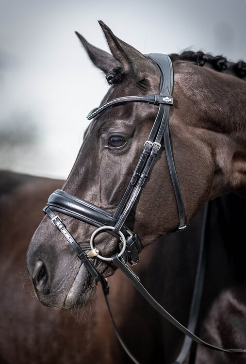 LeMieux Kudos Classic Dressage Hoofdstel