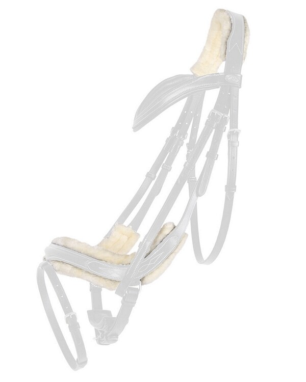 QHP Ontario Bontset Hoofdstel