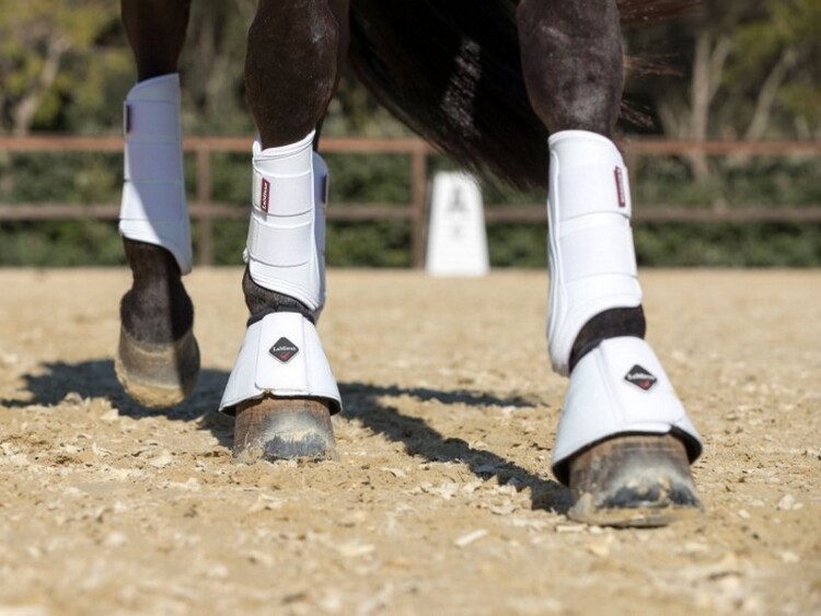 LeMieux Peesbeschermer  ProShell Brushing Boots