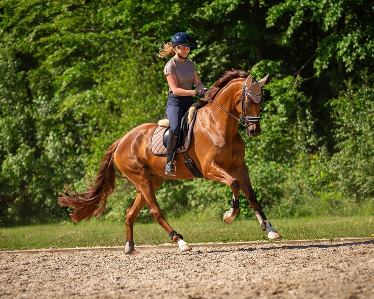 QHP Peesbeschermers