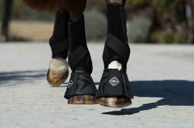 LeMieux ProShell Springschoenen