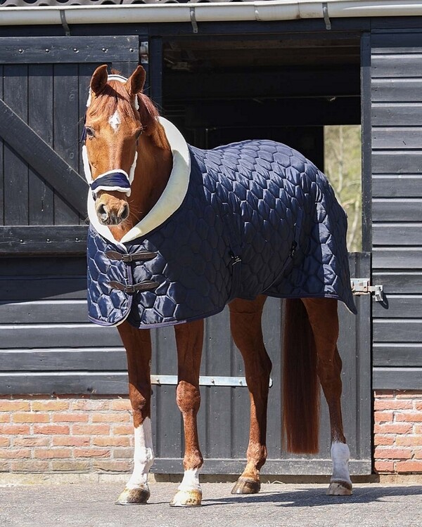 QHP Staldeken Classy