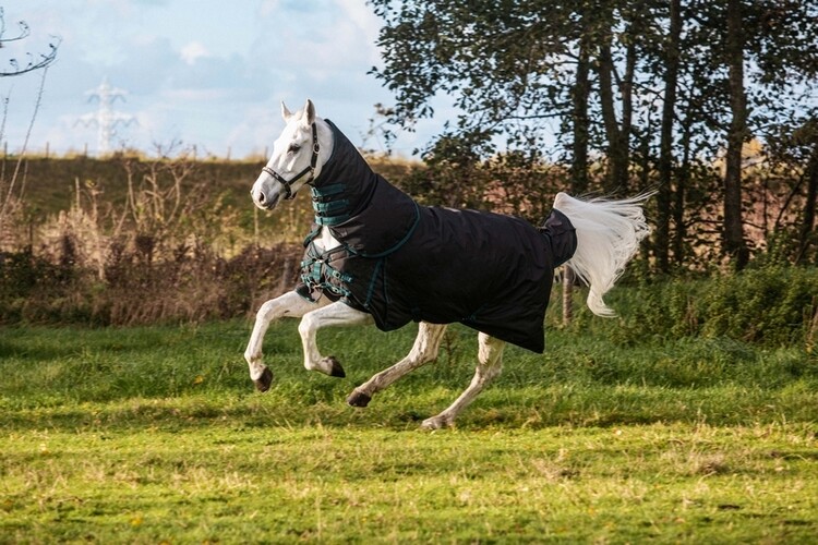 DKR Sports Eco Halsstuk Turnout 150gr