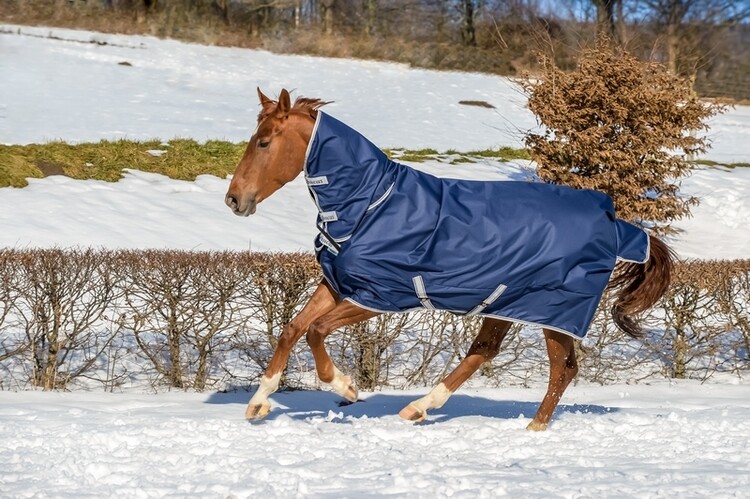 Bucas Freedom Turnout Light 0grs Fullneck
