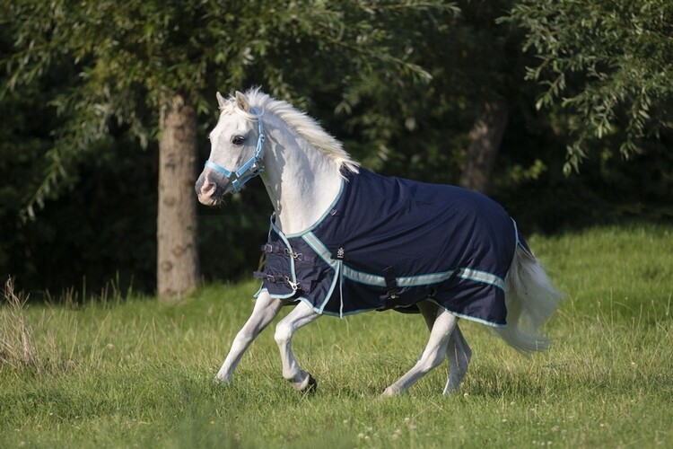 DKR Sports Mini Regendeken Luxe 0grs