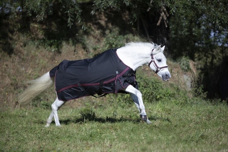 DKR Sports Mini Regendeken Luxe met fleece