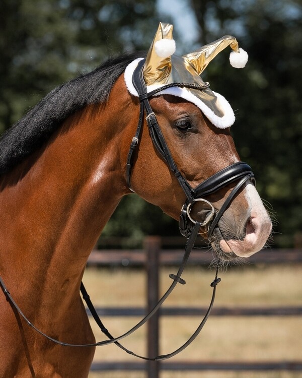 QHP Oornetje Santa