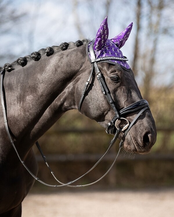 QHP Oornetje Halloween
