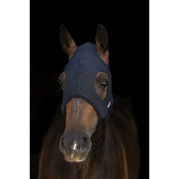 Lamicell Come Best Titanium Masker