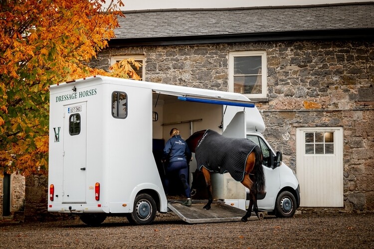 Horseware Autumn Cooler