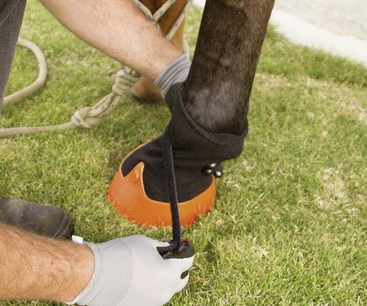 Tubbease behandelings hoefschoen