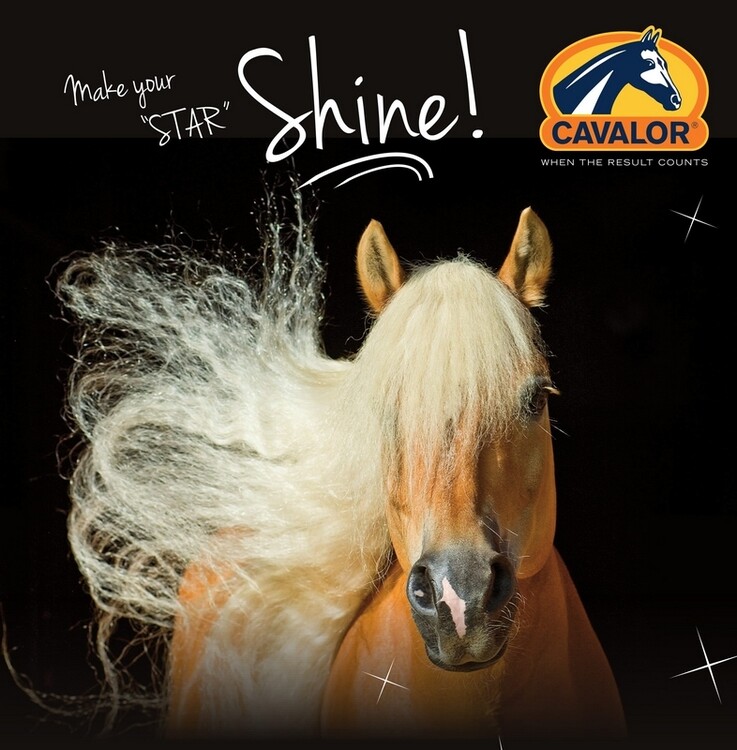 Cavalor Equi Wash