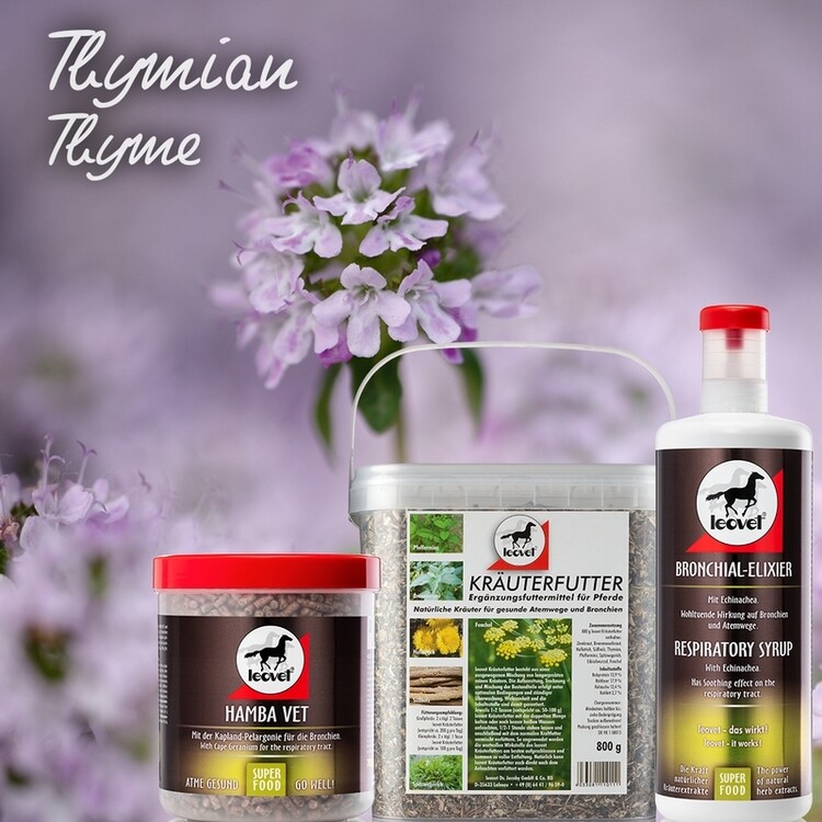Leovet Bronchiaal Elixer | 1000ml