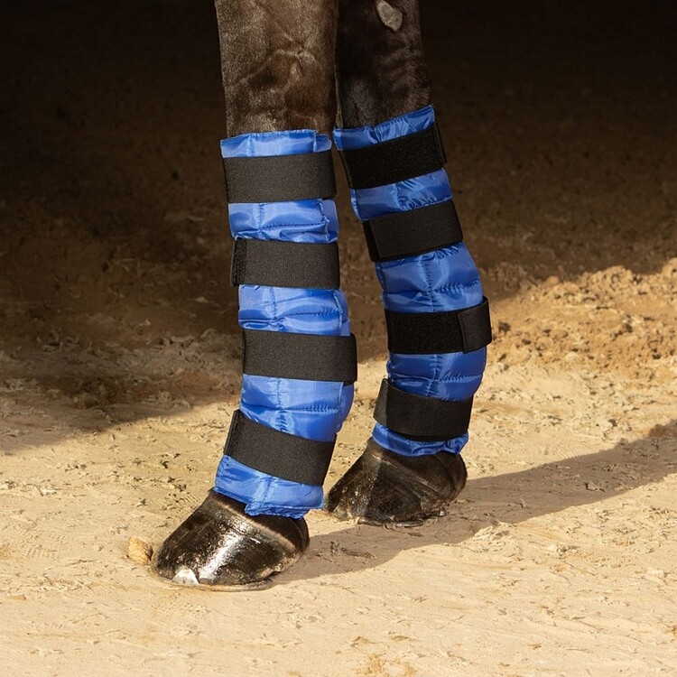 Harry's Horse Cold Wraps