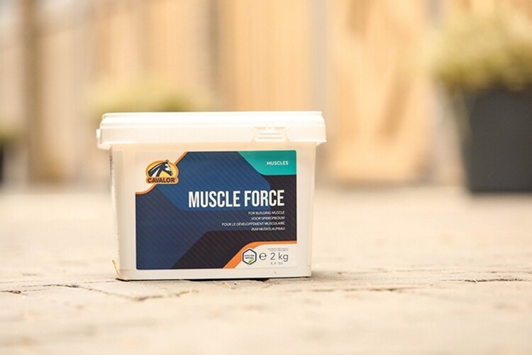 Cavalor Muscle Force 2kg