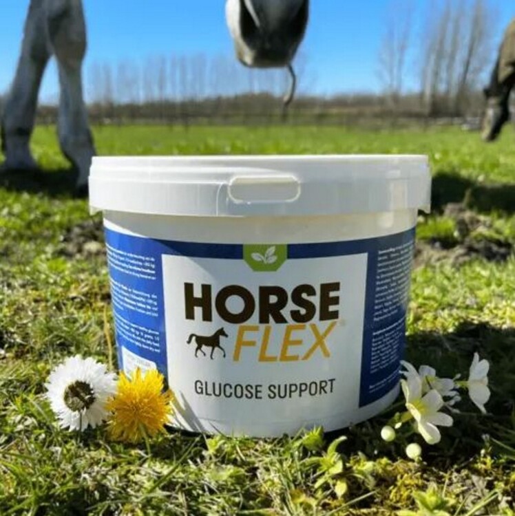 HorseFlex Glucose Support 1200gram