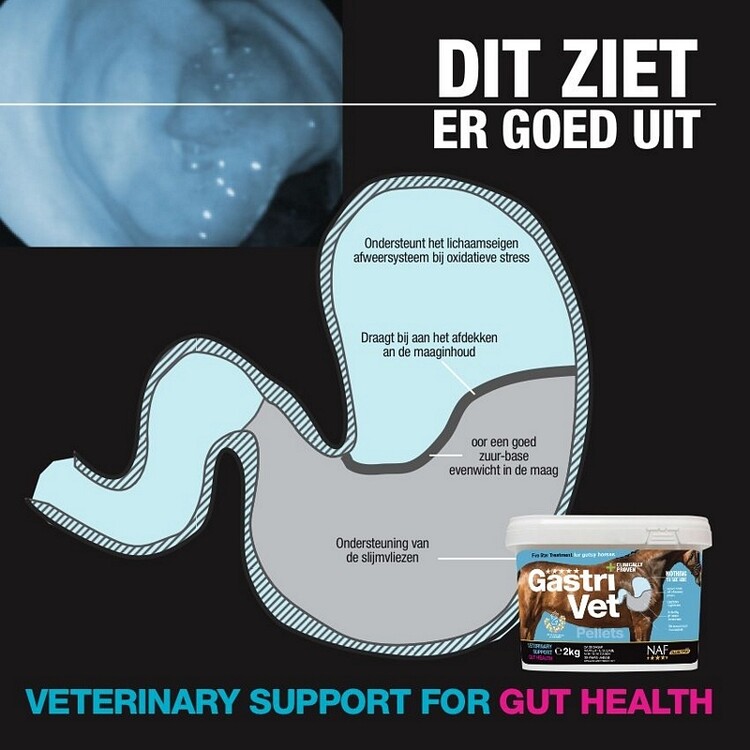 NAF Gastrivet Pellets 2KG