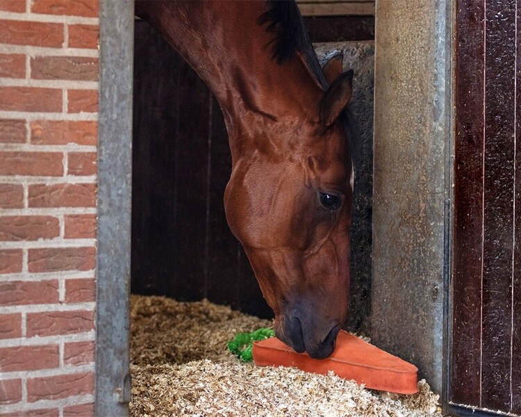 QHP Paardenspeelgoed Wortel XL