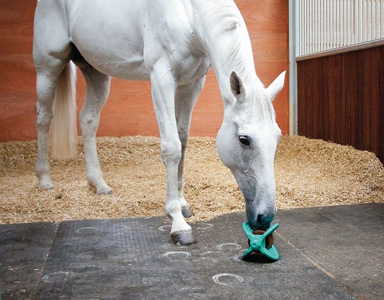 Bizzy Ball paardenspeelgoed