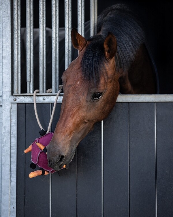 QHP Paardenspeelgoed bal