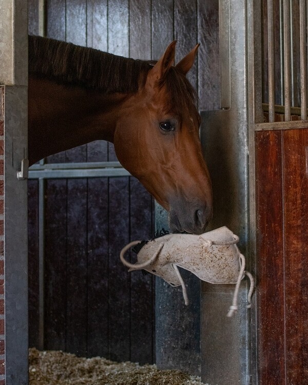 QHP Paardenspeelgoed