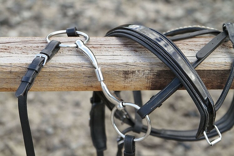 Harry's Horse Watertrens Anatomisch Roll-R 14mm