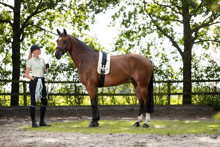HKM Poloshirt Catherine