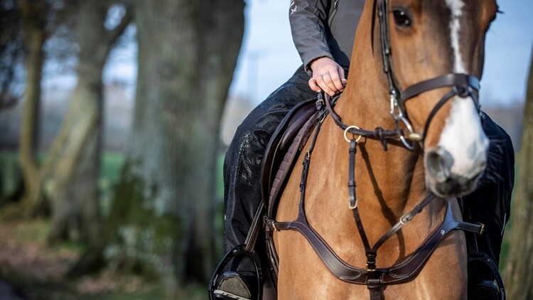 LeMieux Stormwear Fleece Lined Waterdichte Chaps