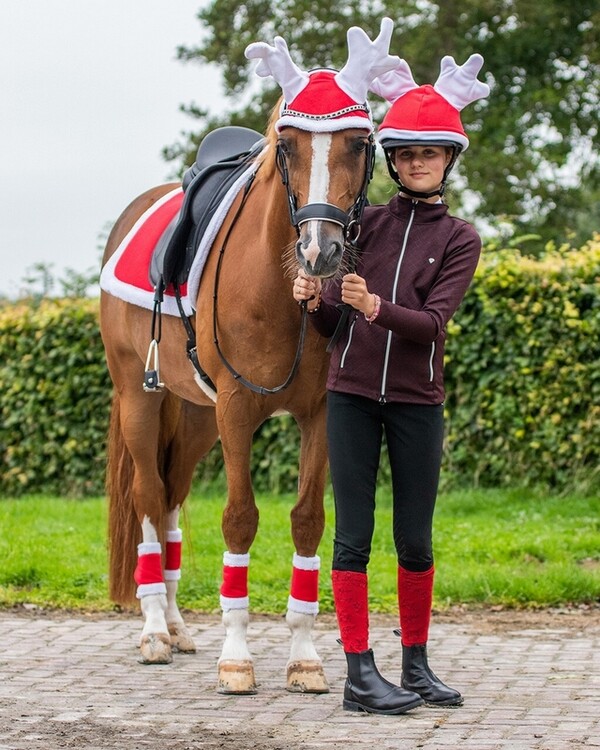 QHP Kerst zadeldek