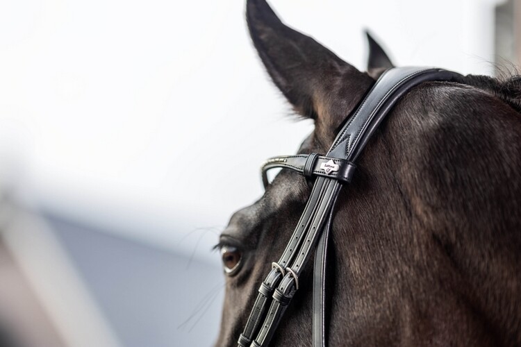 LeMieux Kudos Classic Dressage Hoofdstel