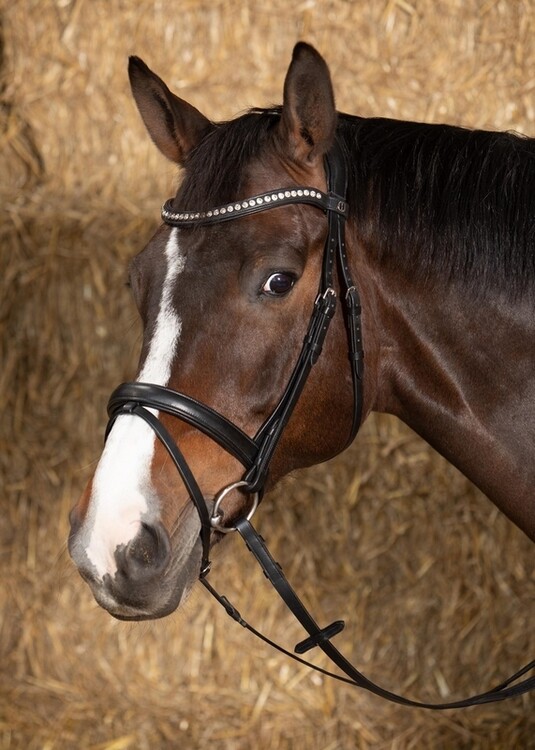 Harry's Horse Hoofdstel Nero soft