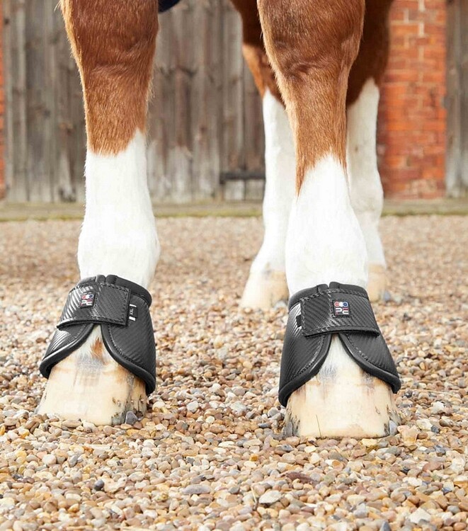Premier Equine Carbon Tech Kevlar No-Turn Springschoen