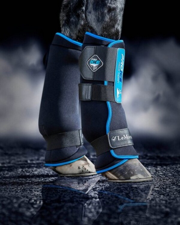 LeMieux ProIce Freeze  Boots