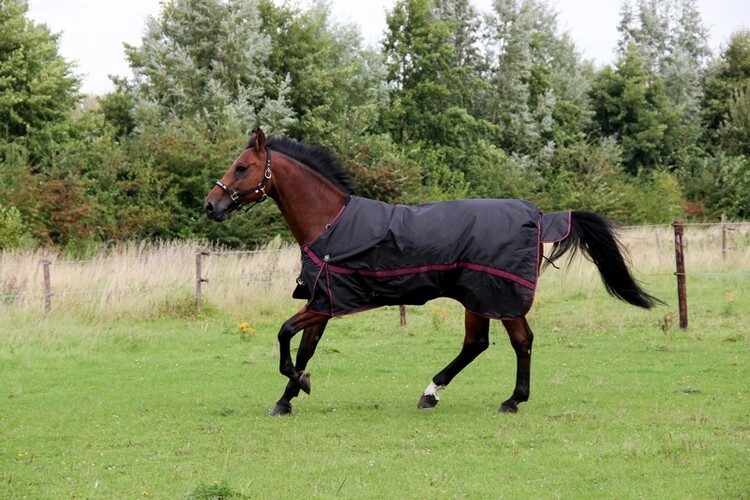 DKR Sports Outdoordeken Luxe 300grs