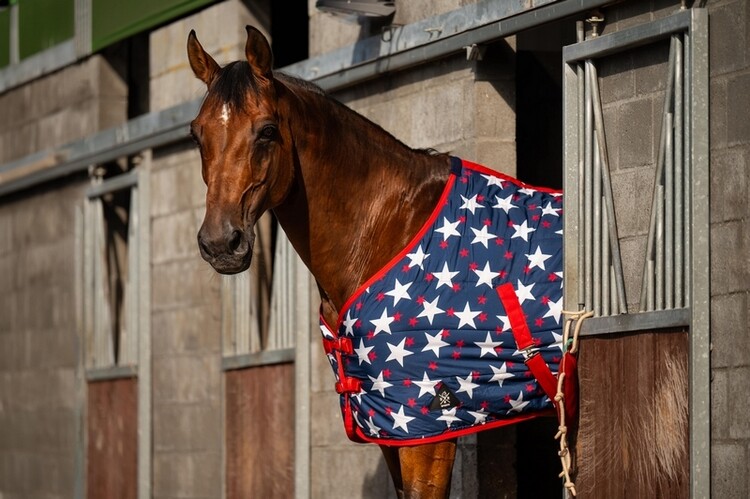 DKR Sports Staldeken I'm a Star 100grs