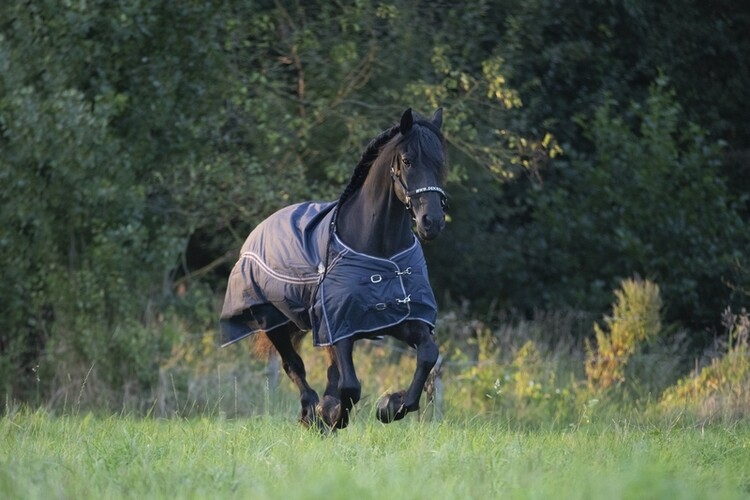DKR Sports Regendeken Big Neck 0 grams