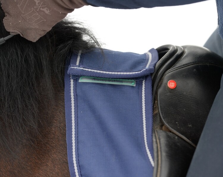 Bucas Riding Rug